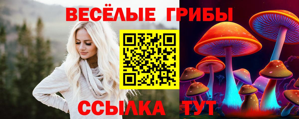 Псилоцибиновые грибы мухоморы Славянск-на-Кубани